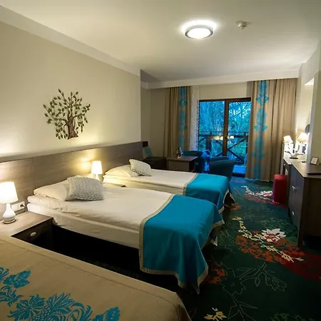 Europa - Gornicza Strzecha Hotel 3*