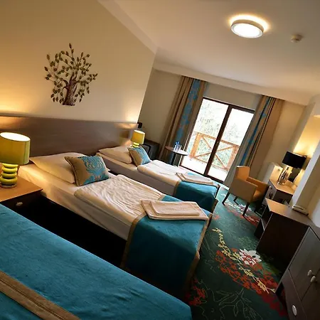 ホテル Europa - Gornicza Strzecha 3*