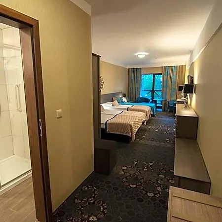 Europa - Gornicza Strzecha 3*