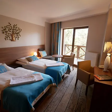 Europa - Gornicza Strzecha 斯克拉斯卡波伦巴