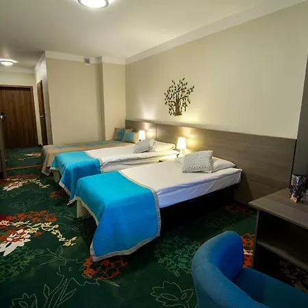 Europa - Gornicza Strzecha 3* 斯克拉斯卡波伦巴