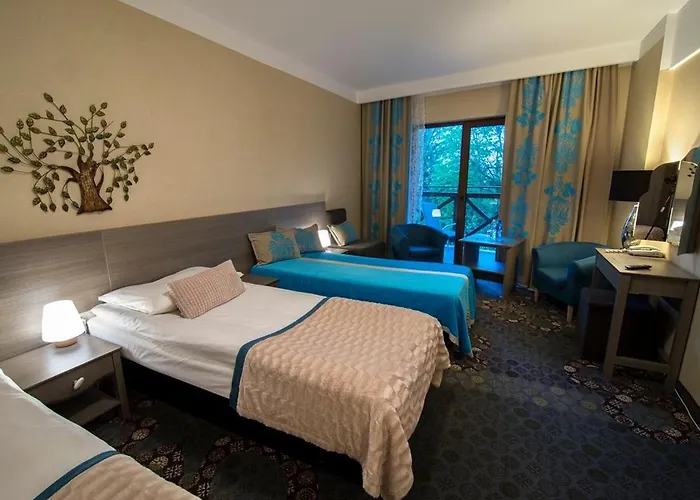 Otel Europa - Gornicza Strzecha