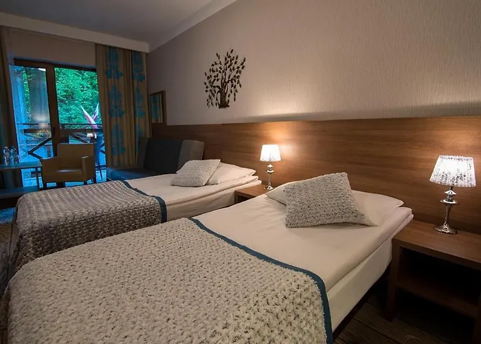 Europa - Gornicza Strzecha 3*