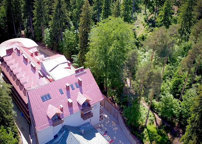 Europa - Gornicza Strzecha 3*