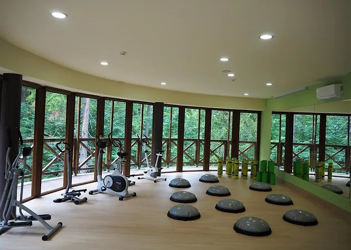 فندق Europa - Gornicza Strzecha 3*